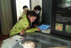 Prohlížíme expozici