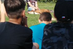 Akce: Bezpečný pes