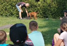 Akce: Bezpečný pes