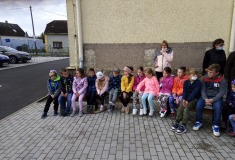 IMG_20211007_091121