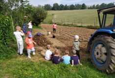 Rybky v akci