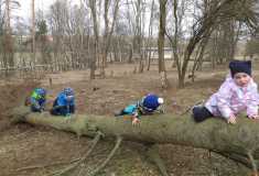 Lezení