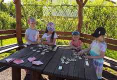 Hrajeme domino
