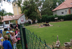 Kdopak to tady je?