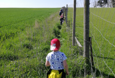 Výprava kolem obory