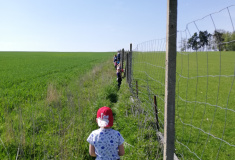 Výprava kolem obory