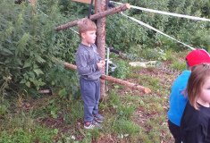 Sledujeme koně