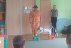 Cvičení psi