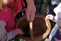 Kuřátka