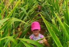 Tajná cesta
