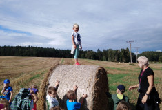 Vítěz