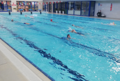 Plavání