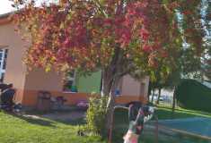 IMG-20221007-WA0002