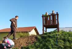 IMG-20221007-WA0005
