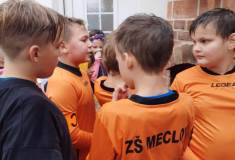 Pohár Českého lesa