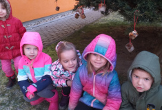 Bádání a objevování