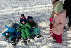 IMG-20231205-WA0047