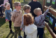 Jak dělá koník?