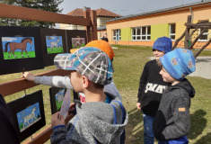 Hledáme mláďátka