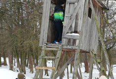 Pozorování zvěře