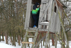 Pozorování zvěře