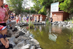 Vodní biotop