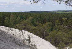 Krajina v okolí Plzně