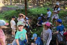 IMG-20250627-WA0097