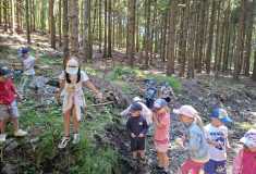 IMG-20250627-WA0100