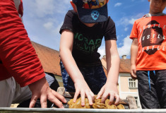 Výlet na hrad Švihov