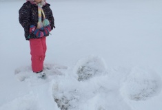 20210113_104119