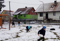 Koulování