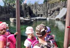 ZOO Praha