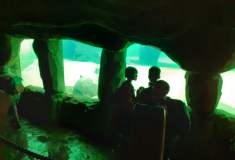 ZOO Praha