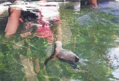 ZOO Praha