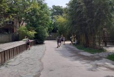 ZOO Praha