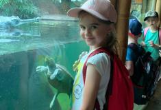 ZOO Praha
