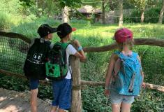 ZOO Praha