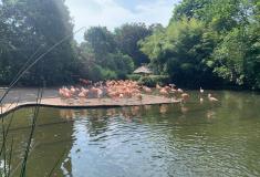 ZOO Praha