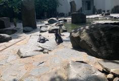 ZOO Praha