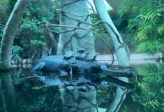 ZOO Praha