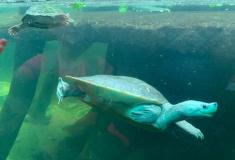 ZOO Praha