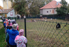 Při páteční výpravě